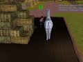 Screenshot-205.jpg